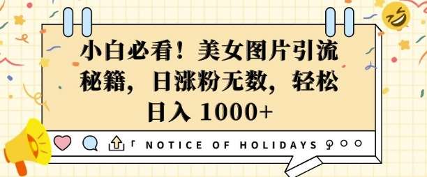小白必看，美女图片引流秘籍，日涨粉无数，轻松日入几张【揭秘】-泰戈创艺资源库