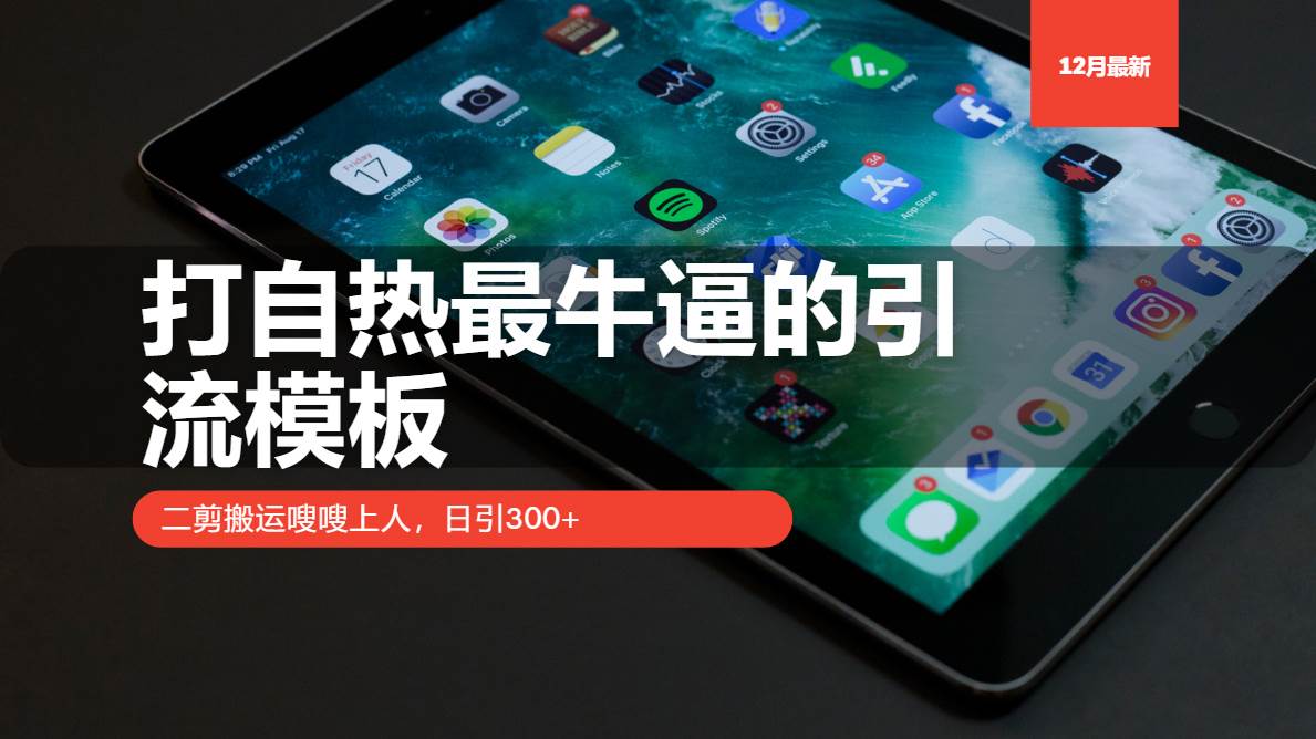 （13654期）打自热最牛逼的引流模板，二剪搬运嗖嗖上人，日引300+-泰戈创艺资源库