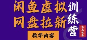 闲鱼虚拟网盘拉新训练营，两天快速人门，长久稳定被动收入，要在没有天花板的项目里赚钱-泰戈创艺资源库