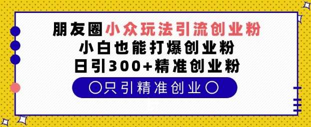 朋友圈小众玩法引流创业粉，小白也能打爆创业粉，日引300+精准创业粉【揭秘】-泰戈创艺资源库