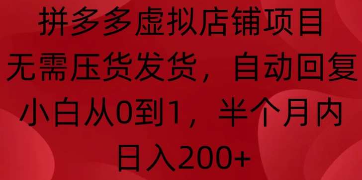 拼多多虚拟店铺项目，无需压货发货，自动回复，小白从0到1，半个月内日入200+【揭秘】-泰戈创艺资源库