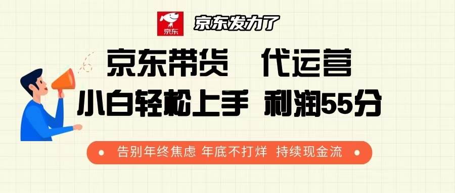 （13833期）京东带货 代运营 利润55分 告别年终焦虑 年底不打烊 持续现金流-泰戈创艺资源库