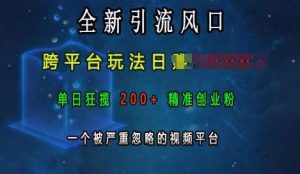 全新引流风口，跨平台玩法日入上k，单日狂揽200+精准创业粉，一个被严重忽略的视频平台-泰戈创艺资源库