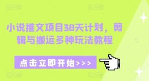 小说推文项目38天计划,剪辑与搬运多种玩法教程-泰戈创艺资源库