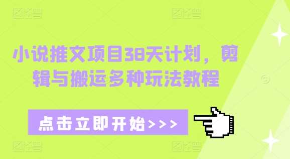 小说推文项目38天计划，剪辑与搬运多种玩法教程-泰戈创艺资源库