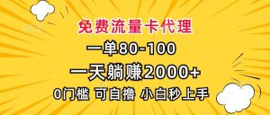 （13551期）一单80，免费流量卡代理，一天躺赚2000+，0门槛，小白也能轻松上手-泰戈创艺资源库