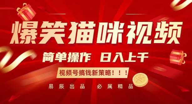 爆笑猫咪视频：简单操作，日入过K，视频号搞钱新策略【揭秘】-泰戈创艺资源库