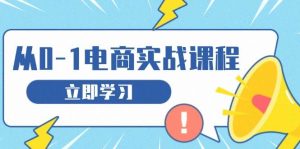（13594期）从零做电商实战课程，教你如何获取访客、选品布局，搭建基础运营团队-泰戈创艺资源库