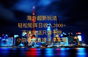 （13583期）2025全新海外暴力玩法，操作简单，小白轻松上手-泰戈创艺资源库