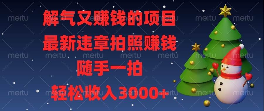 （13804期）解气又赚钱的项目，最新违章拍照赚钱，随手一拍，轻松收入3000+-泰戈创艺资源库