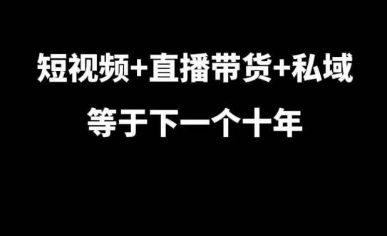 短视频+直播带货+私域等于下一个十年，大佬7年实战经验总结-泰戈创艺资源库