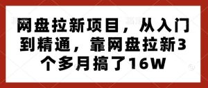 网盘拉新项目,从入门到精通,靠网盘拉新3个多月搞了16W-泰戈创艺资源库