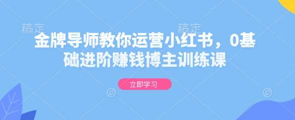 金牌导师教你运营小红书，0基础进阶赚钱博主训练课-泰戈创艺资源库