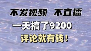 （14018期）不发作品不直播，评论就有钱，一条最高10块，一天搞了9200-泰戈创艺资源库