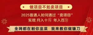 必看!做项目不如卖项目，2025普通人如何通过“卖项目”实现月入十个，年入百个【揭秘】-泰戈创艺资源库