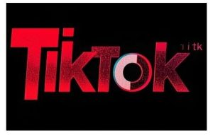 TikTok ads投流秘籍,涵盖tiktok整体投放思路,教你搭建测试计划-泰戈创艺资源库
