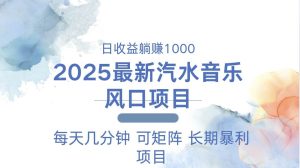 (13894期)2025最新汽水音乐躺赚项目 每天几分钟 日入1000+-泰戈创艺资源库