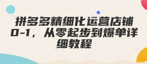 拼多多精细化运营店铺0-1，从零起步到爆单详细教程-泰戈创艺资源库