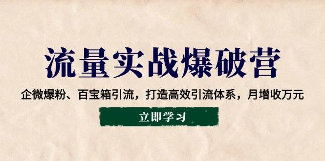 （14039期）流量实战爆破营：企微爆粉、百宝箱引流，打造高效引流体系，月增收万元-泰戈创艺资源库