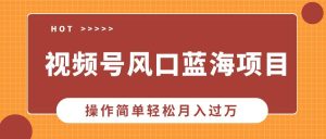 (13945期)视频号风口蓝海项目,中老年人的流量密码,操作简单轻松月入过万-泰戈创艺资源库