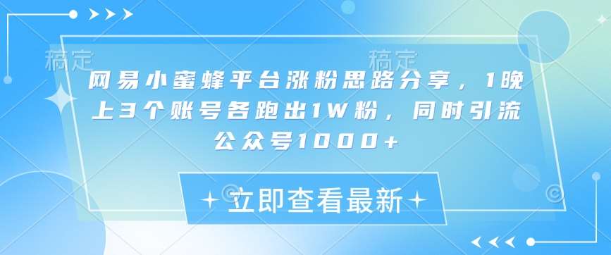 网易小蜜蜂平台涨粉思路分享，1晚上3个账号各跑出1W粉，同时引流公众号1000+-泰戈创艺资源库