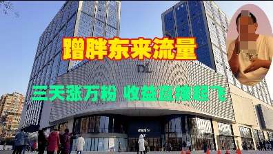 蹭胖东来流量，三天涨万粉，收益直接起飞-泰戈创艺资源库