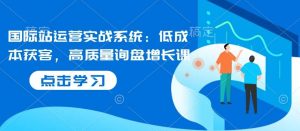 国际站运营实战系统:低成本获客,高质量询盘增长课-泰戈创艺资源库