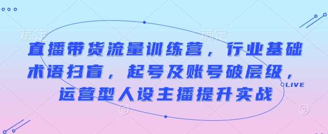 直播带货流量训练营，行业基础术语扫盲，起号及账号破层级，运营型人设主播提升实战-泰戈创艺资源库
