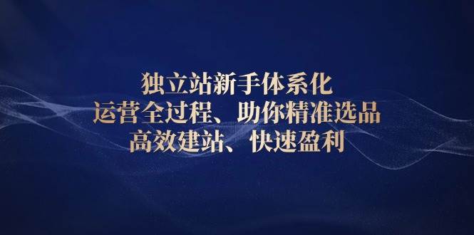 （13914期）独立站新手体系化 运营全过程，助你精准选品、高效建站、快速盈利-泰戈创艺资源库