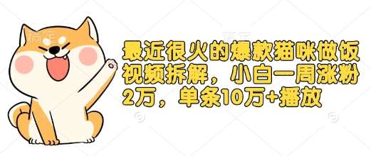 最近很火的爆款猫咪做饭视频拆解，小白一周涨粉2万，单条10万+播放(附保姆级教程)-泰戈创艺资源库