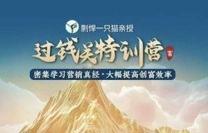剽悍一只猫-过钱关特训营，学习营销真经 大幅度提高创富效率-泰戈创艺资源库