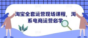 淘宝全套运营现场课程，淘系电商运营必学-泰戈创艺资源库