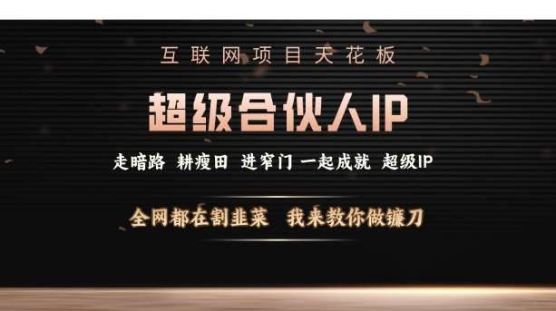 互联网项目天花板，超级合伙人IP，全网都在割韭菜，我来教你做镰刀【仅揭秘】-泰戈创艺资源库