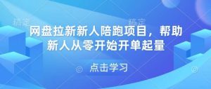 网盘拉新新人陪跑项目,帮助新人从零开始开单起量-泰戈创艺资源库