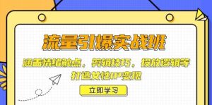 (14008期)流量引爆实战班,涵盖情绪触点,剪辑技巧,投放逻辑等,打造女性IP变现-泰戈创艺资源库