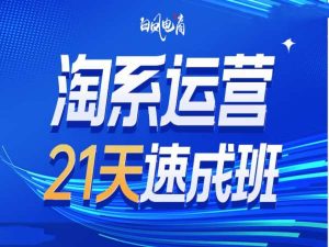 淘系运营21天速成班35期,年前最后一波和2025方向-泰戈创艺资源库
