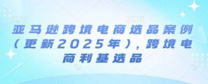 亚马逊跨境电商选品案例(更新2025年)，跨境电商利基选品-泰戈创艺资源库