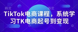 TikTok电商课程，​系统学习TK电商起号到变现-泰戈创艺资源库