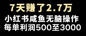 （14183期）最赚钱项目之一，2025爆火，逆风翻盘！-泰戈创艺资源库