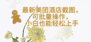 【轻云】最新美团酒店截图,可批量操作,小白也能轻松上手-泰戈创艺资源库