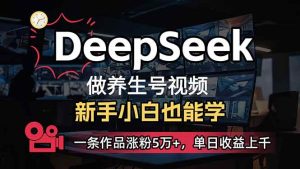 （14270期）小白用DeepSeek做养生号，一条作品涨粉5万+，单日收益上千-泰戈创艺资源库