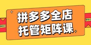 (14328期)拼多多全店托管矩阵课,盈利动销玩法,高效计划设置,提升店铺效益-泰戈创艺资源库