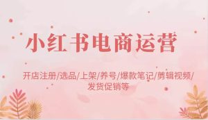 小红书电商运营：开店注册/选品/上架/养号/爆款笔记/剪辑视频/发货促销等-泰戈创艺资源库
