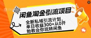 闲鱼淘金私域引流计划，从0开始玩转闲鱼，副业也可以挣到全职的工资-泰戈创艺资源库