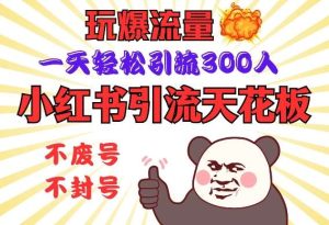 小红书引流天花板,玩爆流量,一天轻松引流300人,安全操作-泰戈创艺资源库