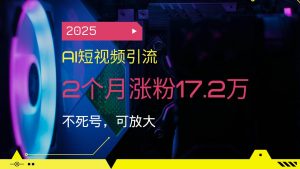 （14213期）2025AI短视频引流，2个月涨粉17.2万，不死号，可放大-泰戈创艺资源库