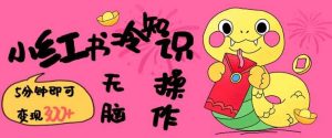小红书冷知识账号，无脑复制粘贴，5分钟即可变现3张-泰戈创艺资源库