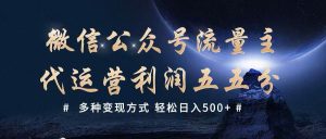 公众号流量主代运营  多种变现方式 轻松日入500+-泰戈创艺资源库