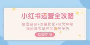 （14207期）小红书运营全攻略，精准获客+流量优化+软文种草，揭秘高客单产品投放技巧-泰戈创艺资源库