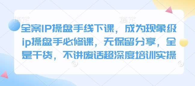 全案IP操盘手线下课，成为现象级ip操盘手必修课，无保留分享，全是干货，不讲废话超深度培训实操-泰戈创艺资源库